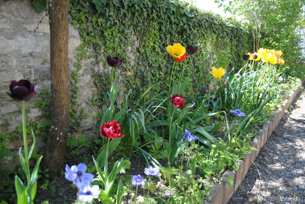 Holiday home Les Rainettes Vienne-en-Bessin