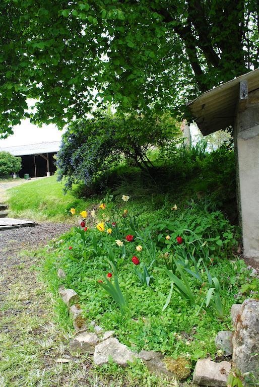 Les Rainettes Holiday home *